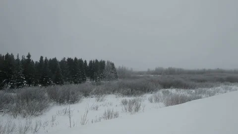 Winter fog Stock Footage 233320563