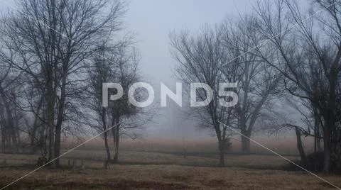 Winter fog Stock Photos