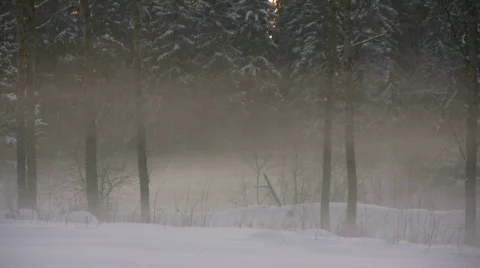 Winter fog timelapse Stock-Footage 623475