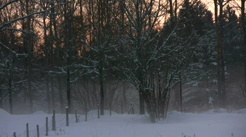 Winter fog timelapse Stock Footage 623487
