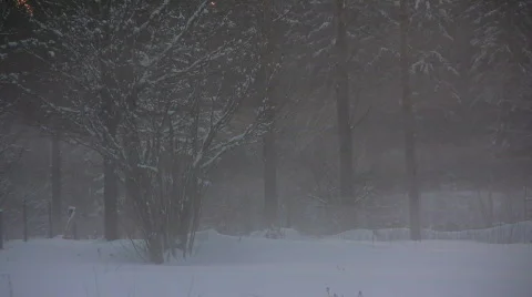 Winter fog timelapse Stock Footage 623512