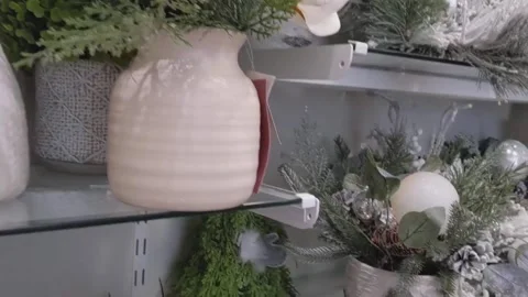 Winter foliage, winter plants decorations, christmas foliage decorations. Stock-Footage 220105248