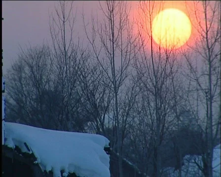  Winter Video stock 568479