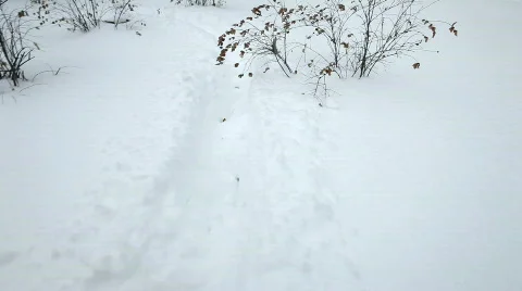 Winter Stock Footage