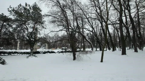 Winter Stock Footage 783772