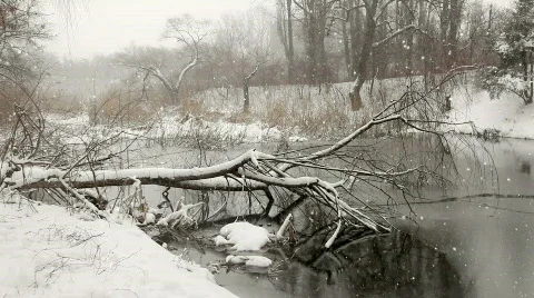 Winter Stock Footage 817363