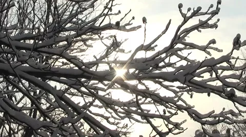 Winter, Video stock 1087472