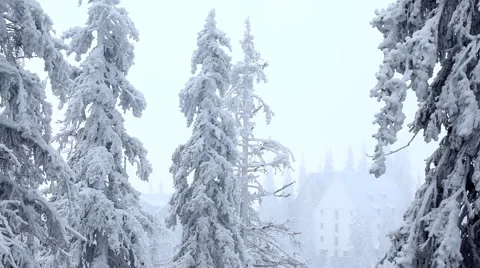 Winter Stock Footage 1093493