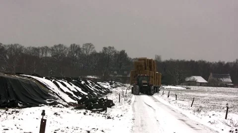 Winter Stock Footage 7733182