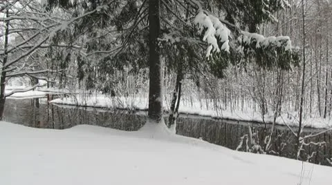 Winter Video stock 10559405