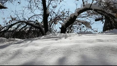 Winter Video stock 10700137