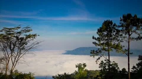 Winter Video stock 16144358