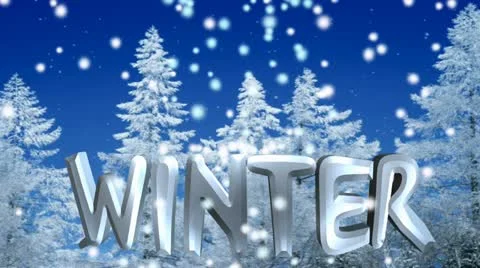 Winter Stock Footage 20460544