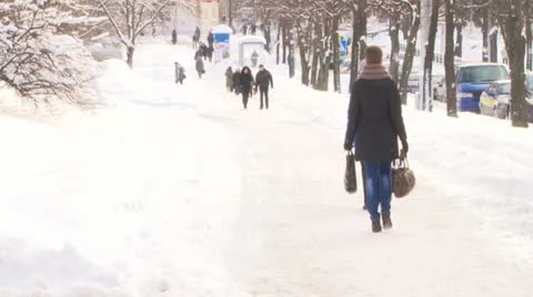 Winter Stock Footage 20536299