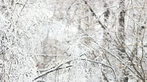  winter Stock-Footage 21358362