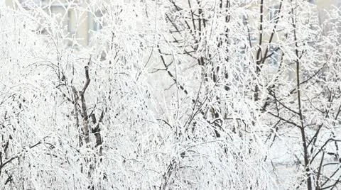  winter 库存影片 21360918