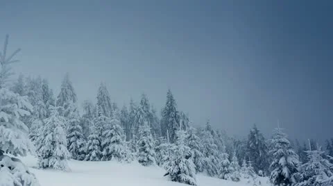 Winter Stock Footage
