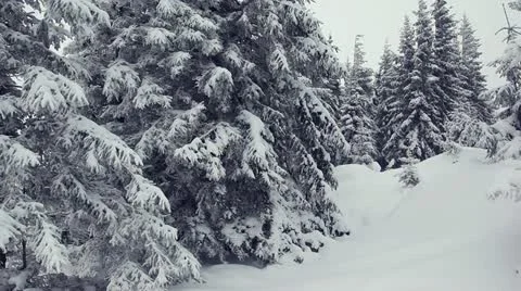Winter Stock Footage