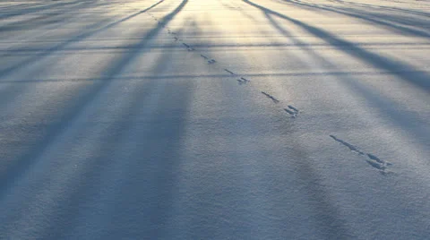 Winter Stock Footage 22564331