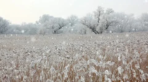 Winter Stock Footage 24664085