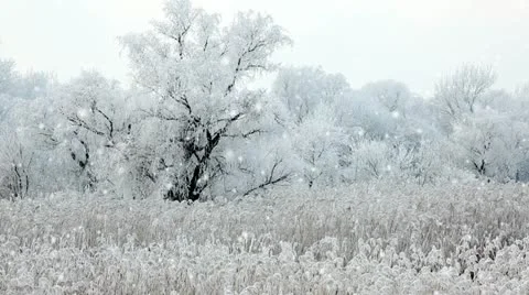 Winter Stock Footage 24664537
