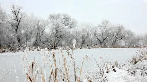 Winter Stock Footage 24665170