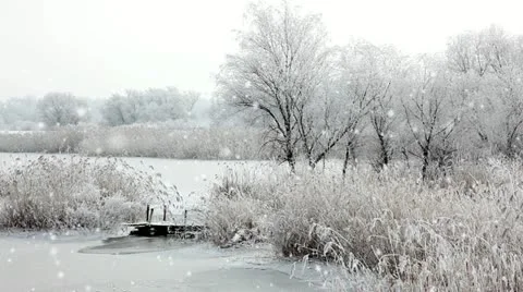 Winter Stock Footage 24665485