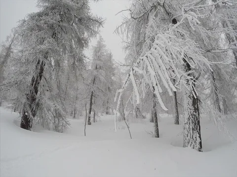 Winter Stock Footage 73644967