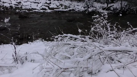 Winter 스톡 동영상 82572721