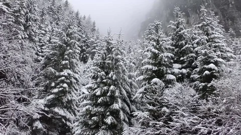 Winter 動画素材 82572959