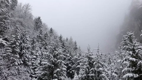 Winter Video stock 82573064