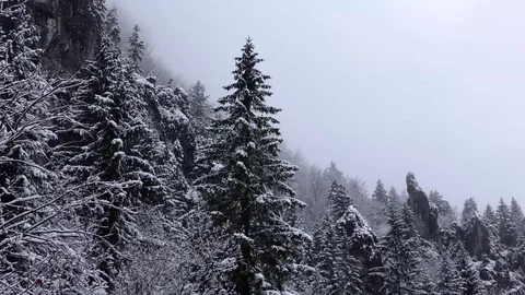 Winter Stock-Footage 82573130