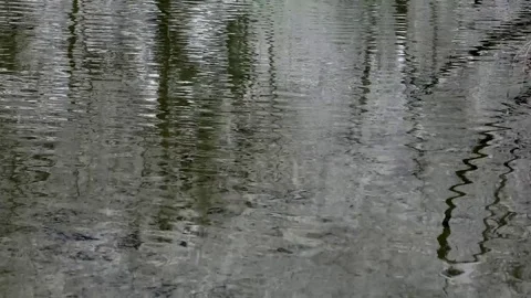 Winter 스톡 동영상 82577532