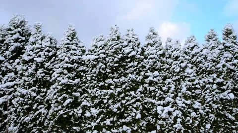 Winter. Stock Footage 82938677