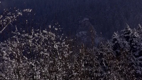 Winter Stock-Footage 82948471