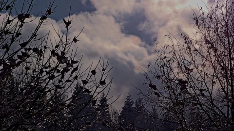 Winter Video stock 82948486