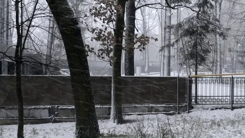 Winter Stock Footage 83885038