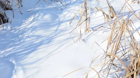 Winter Stockbeeldmateriaal 85217660