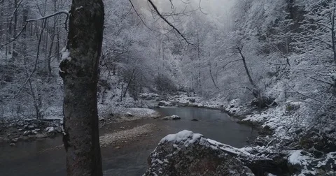 Winter Stock Footage 85437336