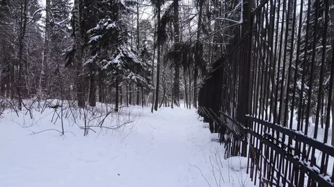 Winter Stock Footage 100631504