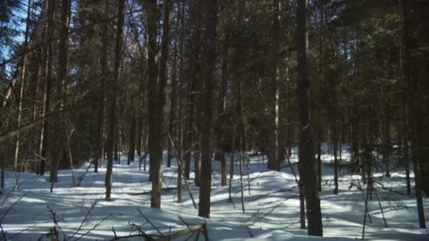 Winter Stock Footage 123936511