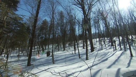 Winter Stock Footage 123936666