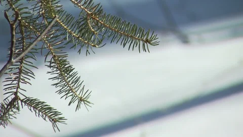 Winter Stock Footage 123936705