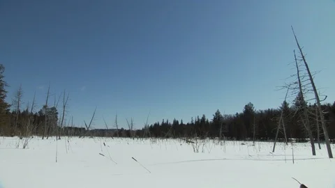 Winter Stock Footage 123936926