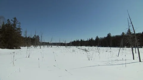 Winter Stock Footage 123936970