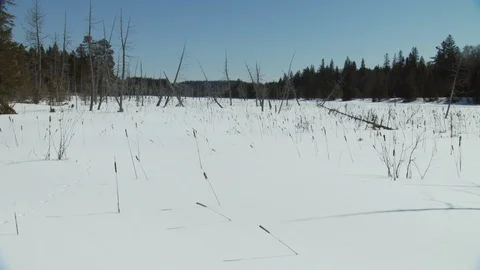 Winter Stock Footage 123937023