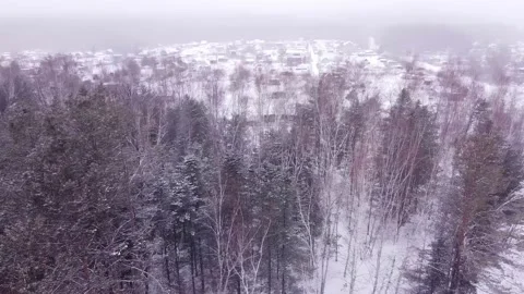 Winter Stock Footage 169243415