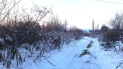 Winter Stock Footage 229773730