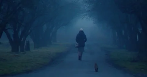 Winter 스톡 동영상 253551619