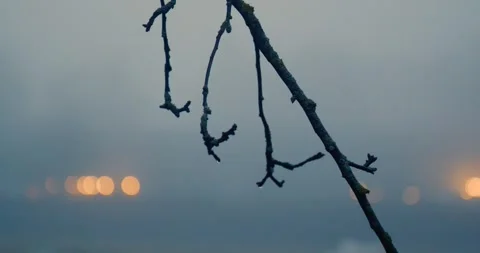 Winter 動画素材 253551670